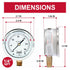 Winters 2-1/2" Dial Size, Liquid Filled Industrial Pressure Gauge, Brass Internals, 304 Stainless Steel Case, Single Scale 0-300 psi, 1.5% Acc, 1/...
