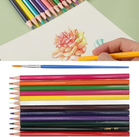 Pssopp Professional Charcoal Pencils Drawing Set Sketch Pencils Set Water Soluble Art Graffiti Tool for Drawing (12 Colors)...