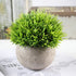 Ogrmar 4PCS Mini Plastic Artificial Plants Grass in Pot/Small Artificial Faux Greenery/Mini Plants Topiary Shrubs Fake Plants for Bathroom, House ...
