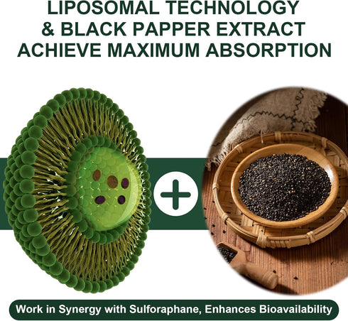 900MG Liposomal Sulforaphane Supplement Broccoli Extract, Liver Supplement for Antioxidant, Digestion, Cellular Health 120 Capsules...