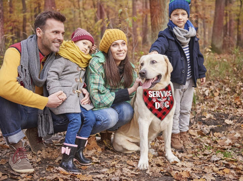 Dog Bandana, Service Dog Triangle Dog Bandana, Dog Scarf Classical Plaid Printing, Dog Scarf Accessories, Dog Bandana Pet Scarf, Pet Scarf, Pet Sc...