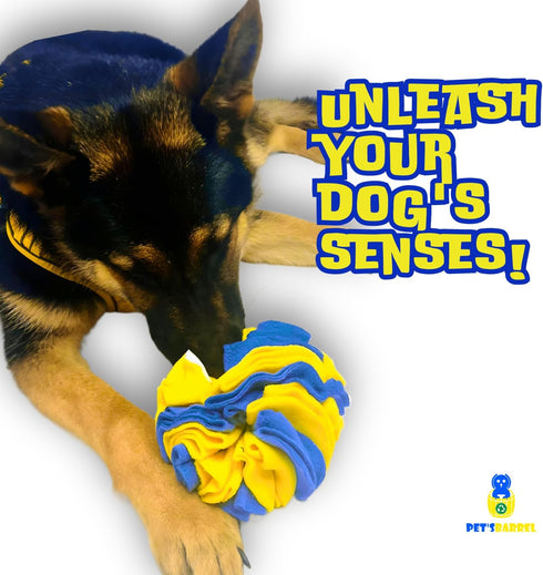 PET’SBARREL Snuffle Interactive Foraging Dog Puzzle Ball - Dog Enrichment Toys, Vibrant Yellow and Blue - Optimal Visual Stimulation. Dogs toys fo...