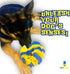 PET’SBARREL Snuffle Interactive Foraging Dog Puzzle Ball - Dog Enrichment Toys, Vibrant Yellow and Blue - Optimal Visual Stimulation. Dogs toys fo...