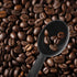 Penta Angel Coffee Scoops 10Pcs 0.25 OZ Plastic Short Handle Measuring Spoons Tablespoons for Coffee Tea Sugar Cereal and Milk Powder (Black)...