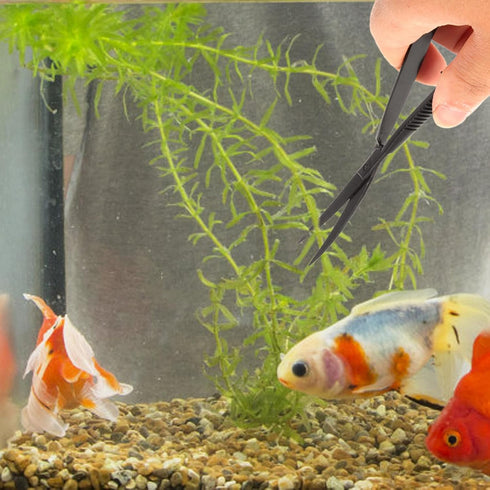 POPETPOP Aquatic Plant Scissors Aquatic Spring Shears Curved Aquarium Scissor Aquarium Scissors Tools Professional Fish Tank Scissor Plant Stainle...