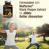 Turmeric Curcumin with BioPerine 1950mg, 95% Standardized Curcuminoids - Black Pepper for Max Absorption, Herbal Joint Support, Nature's Tumeric E...