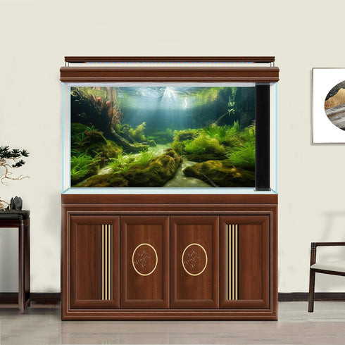 Aquarium Background Freshwater Ecosystem Aquarium Backdrop Algae Aquatic Plants Moss Aquatic Grass with Sunlight Terrarium Background Amazing Clea...
