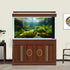 Aquarium Background Freshwater Ecosystem Aquarium Backdrop Algae Aquatic Plants Moss Aquatic Grass with Sunlight Terrarium Background Amazing Clea...