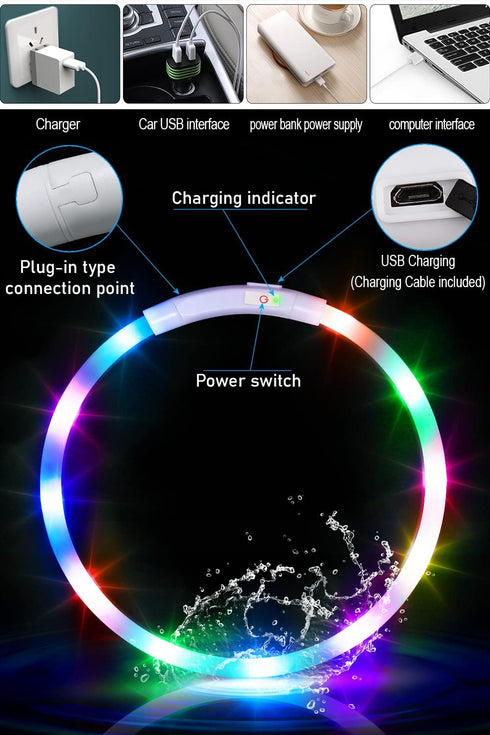 Waterproof LED Dog Collar USB Rechargeable Light Up Dog Collars Lights for Night Walking Lighted Safety Training & Behavior Aids for Small Medium ...