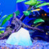 Ipetboom Aquarium Snow Mountain Decoration - 2PCS Iceberg Model Fish Tank Decoration - Iceberg Glacier Landscape Decoration Turtle Tank Accessorie...