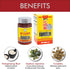 High Strength Fargelin Herbal Supplement by Solstice Medicine Company (180 Tablets) (1 Box)...