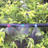 90 180 360 Degree Atomizing Sprinkler Sprayer, Micro Garden Lawn Water Spray Misting Nozzle Sprinkler Irrigation System for Agriculture,Hydroponic...