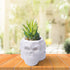 Berry President Skull Flower Pot, Ceramic Skull Capita Planter, Succulent Plants Pots Potted for Desktop Ornaments Office Decor, paperclips Pin St...