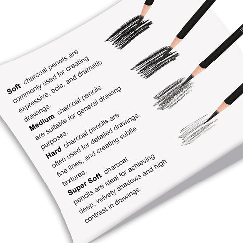 12 Pieces Charcoal Pencils Drawing Set - Super Soft,Soft,Medium and Hard Charcoal Pencils for Drawing,Sketching,Shading,Blending,Portrait...