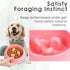 Super Design Slow Feeder Dog Bowl, 1 Cup, Nonslip, Heat-Resistant, Sturdy, Suitable for Small to Medium Sized Dogs...