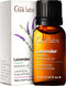 Gya Labs Organic Lavender Essential Oil for Diffuser & Skin - 100% Natural Organic Lavender Oil for Aromatherapy & Feelings of Relaxation - Lavend...