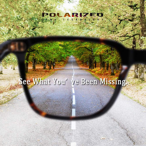 CARFIA Polarized Men's Sunglasses UV400 Protection for Driving Fishing Cool Man Acetate Shades CA5354L...
