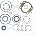 Plews Edelmann 8775 Power Steering Gear Box Major Seal Kit...