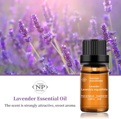 Lavender Essential Oil Single 100% Pure Natural Lavender Oil for Diffuser, Massage, Soap Making 10ML...
