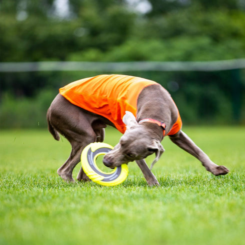 SKIPDAWG Interactive Dog Tug Toy, Dog Flying Disc Dog Water Toy Non-Toxic Light TPR/Nylon Fabric, Pet Training Toys/Outdoor Exercise Toys for Dogs...