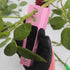 3PCS Rose Thorn Stripper Tool, Rose Leaf Thorn Strippers with a Rose Pruning Shears, Rose Thorn Remover for Gardening, Home DIY & Flower Lovers (P...