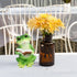 Frog Statue,Resin Decor,Fairy Garden Outdoor Decoration,Frog Reading Book Figurine,Crafts for Home Office Bathroom...