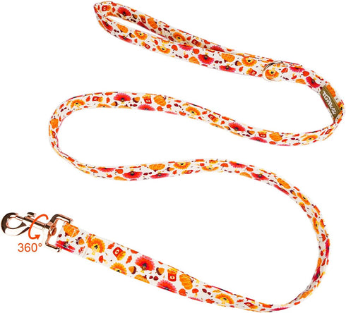 Dog Leash Pumpkin and Turkey Pattern - Durable, Stylish Thanksgiving Pet Leash, Available in Small, Medium and Large, Daily Walking Puppy Leash, M...
