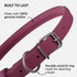 CollarDirect Rolled Leather Dog Collar, Soft Padded Round Puppy Collar, Handmade Genuine Leather Collar Dog Small Large Cat Collars 13 Colors (8-1...
