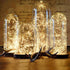 Lighting EVER Plug in Fairy Lights with Switch 66 ft 200 LED String Lights, Warm White Copper Wire Lights Waterproof Indoor Outdoor Decorative Fai...