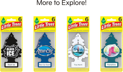 LITTLE TREES Air Fresheners Car Air Freshener. Hanging Tree Provides Long Lasting Scent for Auto or Home. Royal Pine, 24 Air Fresheners...