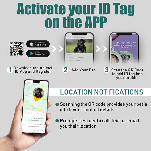 BRONZEDOG Leather Dog Collar with Metal Buckle Durable Basic Pet Collars for Small Medium Large Dogs (11-13 Inch (Pack of 1), Light Brown & Gold B...