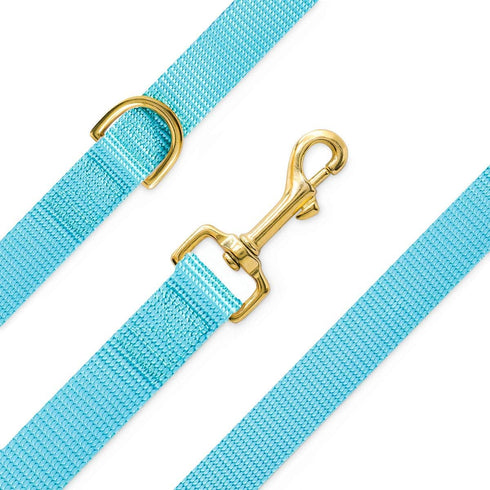 Dog Leash Cat Leash, 30+ Solid Color Nylon Dog Leash for Small, Medium and Large Dogs, Classic Collection Training Leash ((Large) 1 in. x 4ft, Oce...