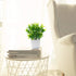 OFFIDIX Faux Plants Mini Potted Plastic Fake Green Plant Artificial Plants Aloe with White Square Pots for Home Decor (White Square Plastic Pots)...