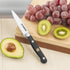 Gioventù Paring Knife 4 inch - Small Kitchen Knife Forged from German Stainless Steel 5Cr15Mov (HRC58), Full Tang, Sharp Paring Knives for Cutting...
