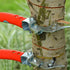 Fruit Tree Ring Cutter Peeler Ring Stripper Scissor Tool Girdling knife Bark Stripping Tool...