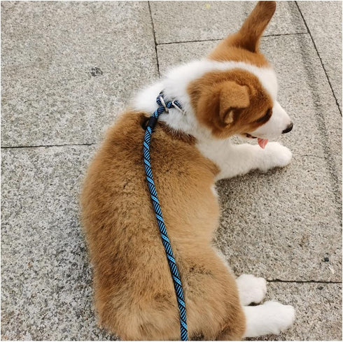 Reflective Long Dog Leash Slip Lead, No-Choking 12FT/20FT/30FT/50FT Rope Training Lead for Medium Dogs Small Puppy Pets Behavior Active Playing Bl...