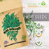 NatureZ Edge 12 Herb Seeds Variety Pack, 6000+ Heirloom Seeds for Planting Hydroponic Indoor or Outdoor Home Garden Plant Seed, Parsley, Cilantro,...