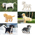 Toymany 12PCS Mini Dog Figurines Playset, Realistic Detailed Plastic Puppy Figures, Hand Painted Emulational Tiny Dogs Animals Toy Set, Cake Toppe...