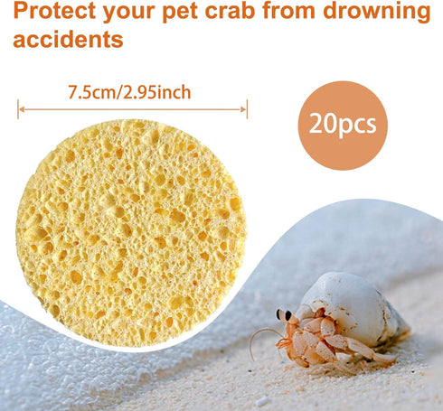20 Pieces Hermit Crab Sponges,Real Pets Crab Sea Sponges in Yellow,Provide Nutrients Crab Sponges,Hermit Crab Water Dish Sea Sponge,for Pet Hermit...