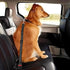 Dog Car Tether, 2 Pcs Dog Harness for Car, Adjustable Dog Leash for Dogs in Car, Dog Leash, Reflective Pet Harness with Buckle & Elastic Bungee Bu...