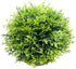 Mini Fake Cypress Cedar Plants for Bathroom Home Office Desk Decor, Small Artificial Faux Greenery for Farmhouse Decorations (Potted Plants) (1)...