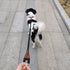 No Handle Dog Leash 3FT / 6FT, Tether Training Leash Tie Down, Dog Extension Rope Great for Exercising, Bicycle and Outdoor, Running, Walking...