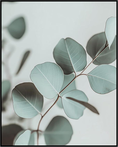 Posterizer 1 pcs-plant leaves-Chic Dainty art for plant lovers 8-Floral & Botanical Art-Workplace & Office Art-Living Room Bedroom Decor- unframed...