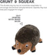 Outward Hound, Hedgehogz Plush Dog Toy, Large...