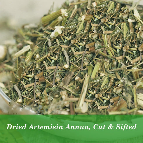 Natural Artemisia Annua, Dried Sweet Wormwood, Herbal Loose Leaves (4.0 oz)...