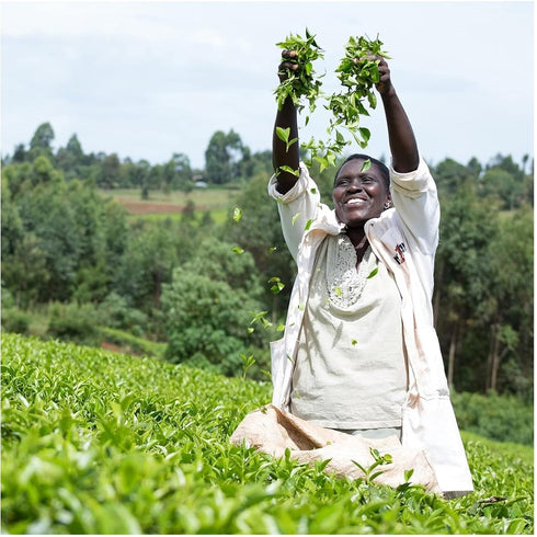 Tasty Decaf 70 Tea Bags...