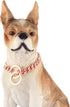 Dog Chain Collar High Rose Gold Polished 12MM Stainless Steel Cuban Link Strong Heavy Duty Chew Proof Walking Chain Leash Collar for Small Medium ...