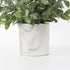 Hollyone Mini Artificial Potted Plants Fake Plants in Marble Pots, 1Pcs Plastic Eucalyptus Greenery Faux Plants for Home Office Desk Room Centerpi...