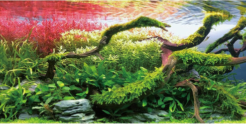 AWERT 48x24 inches Branches Fish Tank Background Stone Seaweed Aquarium Background River Bed & Lake Aquarium Background Vinyl Background...
