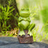 Frog Statue Decoration, Creative Garden Frog, Figurine Deco Crafts Animal Sculptures, Individual Decoration for Yard Garden Outdoor Indoor....